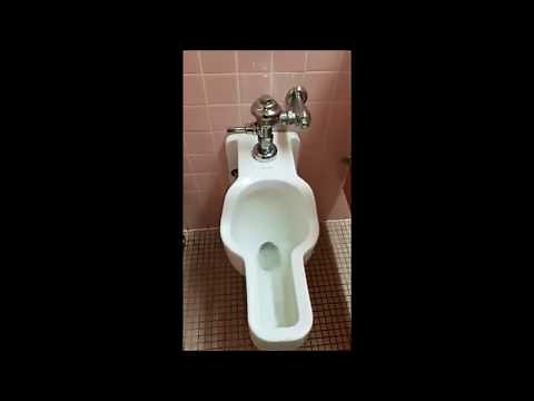 1950's "Standard" Sanistand Women's urinal