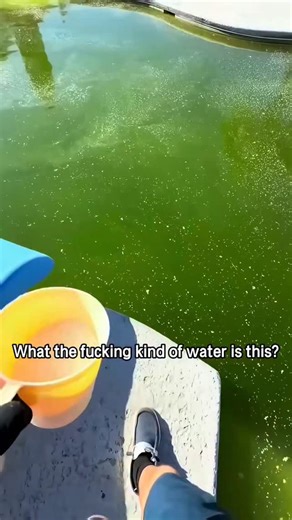 nc | WHAT FUCK WATER THIS | Instagram