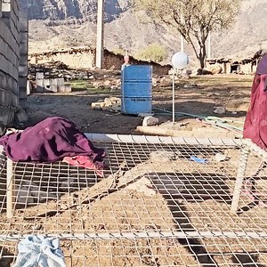 From helping the operator to the second wife's attacks on the operator and the first wife. | Dover DR