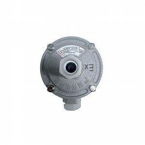 [Hot Item] Ex-Marked Cast Aluminum Straight-Through Explosion-Proof Junction Box for Industrial Single-Path Wiring
