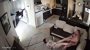 WH-IP-013. IP Cameras