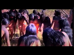 ʬ Xingu's Lifestyle YouTube