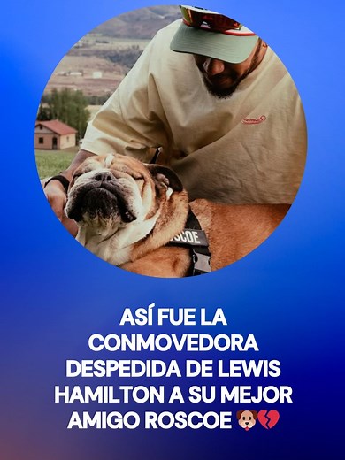 Así fue la conmovedora despedida de Lewis Hamilton a su mejor amigo Roscoe 🐶💔#tiktokinforma #tiktokmehizover #Hamilton #F1 #Roscoe #Despedida