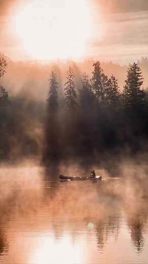 @mathias.koch shares a magical morning in Izvestia, Sweden. #nature #fashion #photooftheday #instagram #photography #love #instagood #travel #vacation #travelphotography #instadaily #explore #picoftheday #beautiful #photo #happy #follow #instalike #tripello #reels #SaveWithTripello #TripelloDifference #TravelHacks | Tripello | Facebook