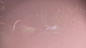 Cambio posizione…Fiat 115-90 e Veneroni…irrigazione 2023 🌽🌊 a Travagliato (Bs) in Notturna #NewsAgricoltura | NewsAgricoltura