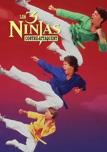Ninja Kids 2 : Les 3 Ninjas contre-attaquent en streaming