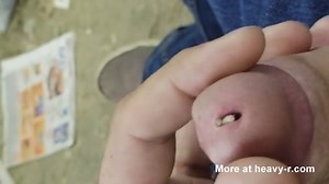 Maggots getting started