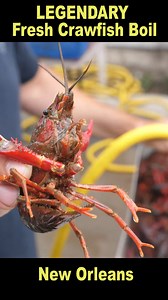 FRESH Authentic Crawfish Boil in New Orleans #crawfishboil #crayfishboil | Strictly Dumpling