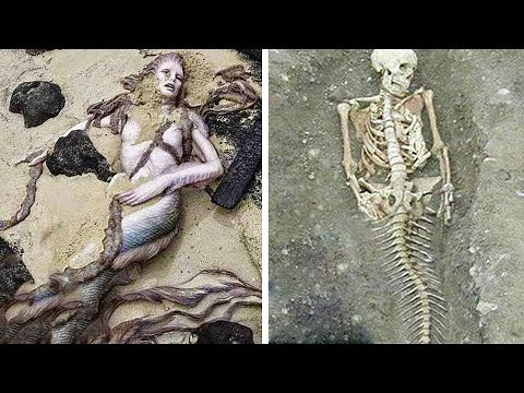 10 REAL LIFE MERMAIDS Caught On Camera