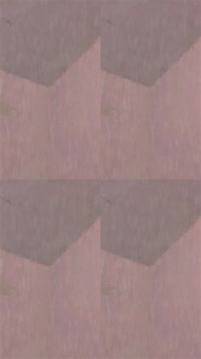 #foryou #youpage #oupage #youpage❤️❤️ ##foryoupage❤️❤️ #foryoupageofficiall #youpage❤️❤️ #foryoupage