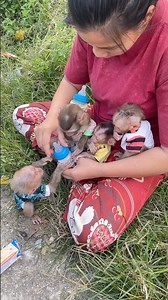mother feeding monkey milk🍼🍼🍼🍼