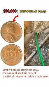 486K views · 2.8K reactions | $50,000 : 1959-D Wheat Penny #coin #coinvalue #penny #errorcoin #rarecoins #coincollecting | HeritCoin | Facebook