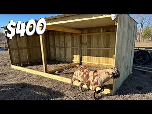 ULTIMATE LOAFING SHED!