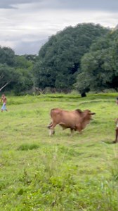 2.3K views · 60 reactions | AHAKA NI BAKA DIRI UYYYY Masungayan man sad atoa mga Hunters haahhahaa﫣﫣 Pero CONGRATULATIONS PA RIN SA LAHAT NA NAKA RECEIVE NG BLESSINGS THIS AFTERNOON❤️ Sa uulitin Pls support and follow us. Comment and Request lang mo below asa next drop nato puhon. | Electra Rider | Facebook