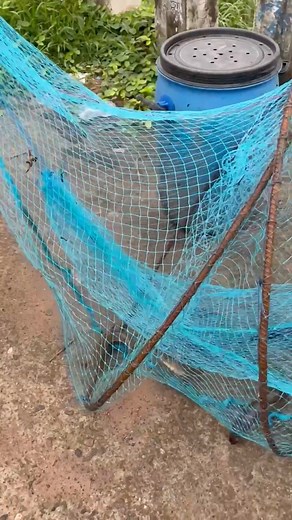 Kerala Diaries - Monsoon Fishing #fishing #reelsfbシ #vlog #monsoon #kerala #fish #river #village #food | Soman Madhavan