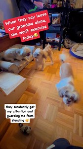 7K views · 50 reactions | Pets on elderly: Research shows that pet ownership can provide important forms of social and emotional support that can reduce distress, loneliness and improve overall quality of life. It is found that strong attachment to a pet was associated with less depression among older adults. #physicaltherapy #seniorcare #reels #seniors #everyone | Doc H. | Facebook