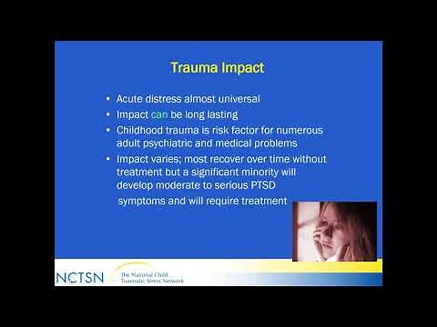 TF-CBT Implementation Strategies with Preschool Children