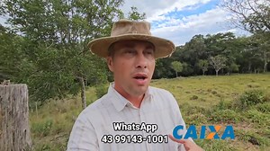 6.5K views · 297 reactions | CHÁCARA CASA ANIMAIS FRUTAS E ÁGUA...