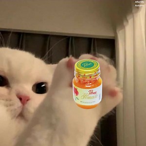 Take care of your lips cutie | Afterlife Autumn