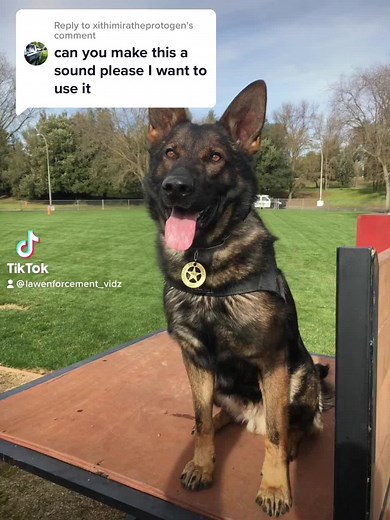 LawEnforcement_vidz on TikTok