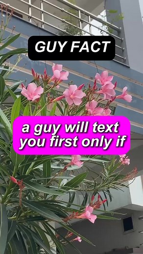 A guy will text you first.... #datingtips #lovetips #usa #usreels #america #UK #Canada #australia #datingadvice101 #datingadvice #dating #psychologyfacts #relationships #love #crush #facts #factsdaily #women #girls #girlfriend #boyfriend #viral #trending #relationshipgoals #romance #marriage #reels #meta #friendship #followers #reelsfypシ #psychology | Psyche and love facts