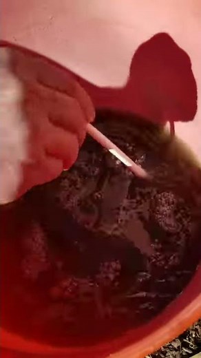 Precipitating Gold From Cyanide Solution Using Zinc Powder