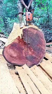 346K views · 3.4K reactions | Tidak tembus bar ☺️❓ . . . #woodworker #WoodworkingTips #operator #chainsaw #STIHL #kayubesar | Penggergajian KAYU | Facebook