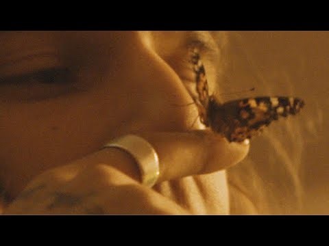 Kid Bloom - "Dead Butterflies" (Official Visualizer)