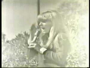 Jackie DeShannon-Needles And Pins (Best version) )1963г.