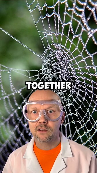 Understanding Spider Rain Phenomenon in Australia