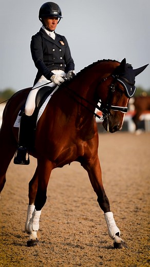 3.4K views · 113 reactions | Dressage ✅ XC  | USA Eventing | Facebook