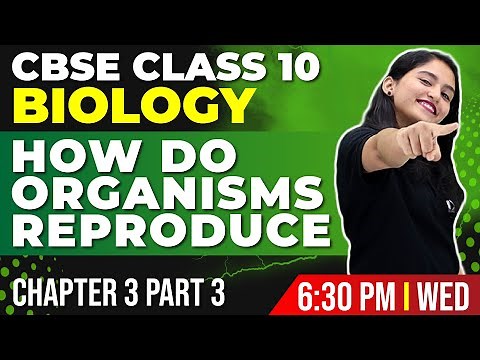 CBSE Class 10 Biology | How Do Organisms Reproduce Part 3 | Chapter 3 | Exam Winner CBSE Class 10