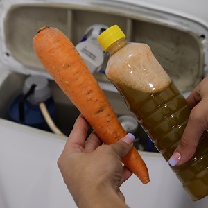 206K views · 639 reactions | Put a carrot in the toilet bowl, this I learned from a maid and was surprised. | Too Yummy | Facebook