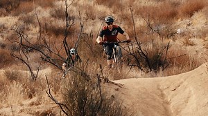 9K views · 153 reactions | Check out Fox team riders Loris Vergier...