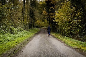Attaque mortelle de chiens : «Aucun rapport avec la chasse à courre» se défend une chasseuse