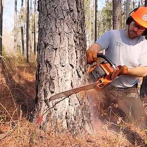 Building a Monster Home stead Shed - FULL BUILD. | Tiny Home Decor