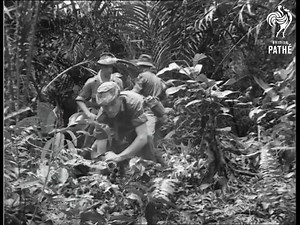 Malayan Jungle Patrol 1953 | Veterans Badge