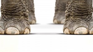 No matter the size, whatever the distance, Swift takes it the extra mile. | Swift Transport