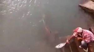 2.5K views · 51 reactions | Hunting & Fishing on Reels | Facebook