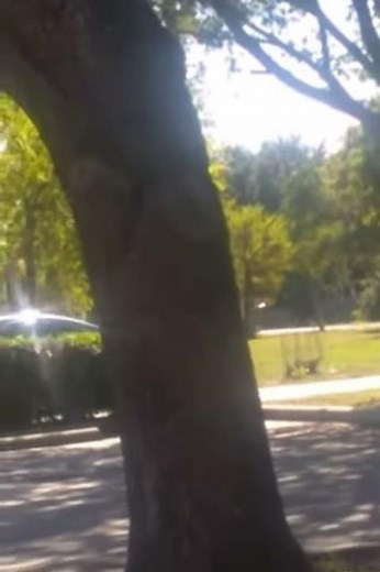 Woman was caught urinating on the sidewalk