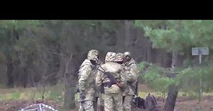 małpy nigdy się nie nauczą