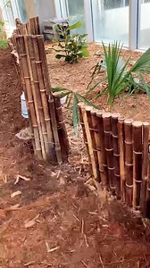 5.8K views · 271 reactions | DUCK, DUCK, LOOSE... With Avian Flu numbers falling, our veterinary team gave the okay for wood ducks, Holly and Hickory, to once again free-roam the Aquarium conservatory. See them daily at the Roan Island habitat. Advance tickets are required: ncaquariums.com/tickets-ff | NC Aquarium at Fort Fisher | Facebook