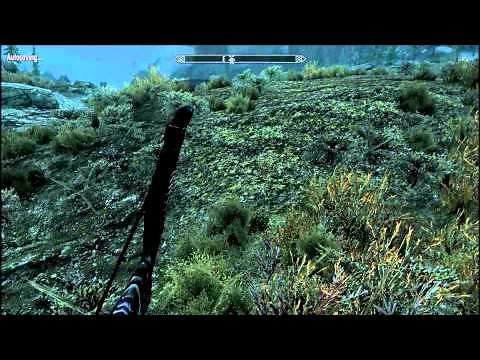 Skyrim: How to call Durnehviir