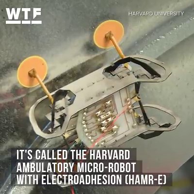 96K views · 365 reactions | This tiny robot can climb up walls. | What the Future | Facebook