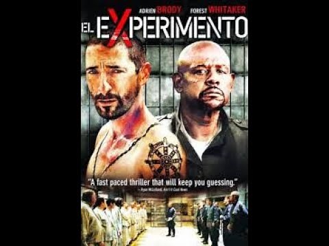 El experimento (2010) - Análisis psicológico