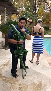 562K views · 1.2K reactions | Alligator prank! A man pranked his wife by tying a fake alligator to her back. This original video was produced by Rick Lax and Alex Z | Silly Skits & Sentimental Scenes | Facebook