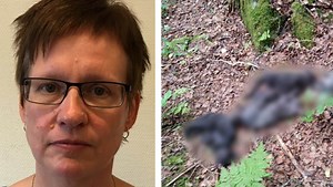 Senaste från Expressen nyheter