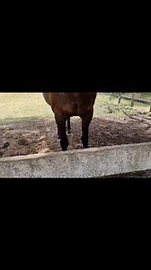 Invasor | Invasor