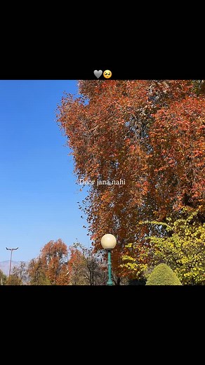 Door jana nahi tumko hai kasam . . . . . . . . . . . . . . . . . . . . . . . . . . . . Keywords ( nature, aesthetics, nature photography, videography, Kashmir, mountains, sadsongs, water, rivers, nature ) #nature #cinematography #naturephotography #naturegeography #kashmir #mountains #instagram #reels #sadsongs #water #river #trendingsongs #fyp #exploremore #foreyoupage #viralreels #boostyourreels #explorepage #trendingreels #explore #growoninstagram #dailygrow #reachmorepeople #mohitxgrowth | F