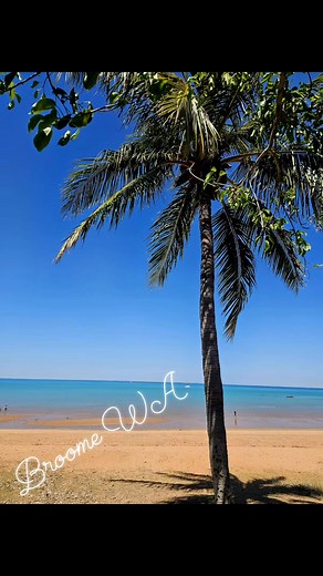 We took a quick run to Broome town last week. I so love Town Beach, even more so now with all the pretty upgrades! Well done Broome Shire :) #broomewa | Positive Fishing